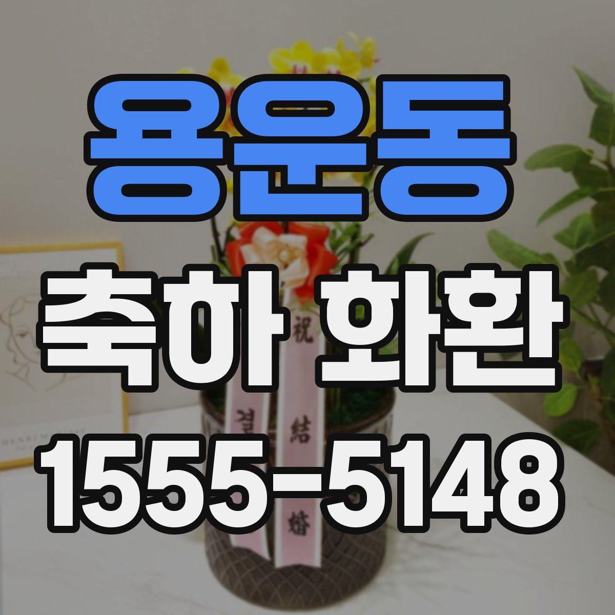 용운동 축하 화환