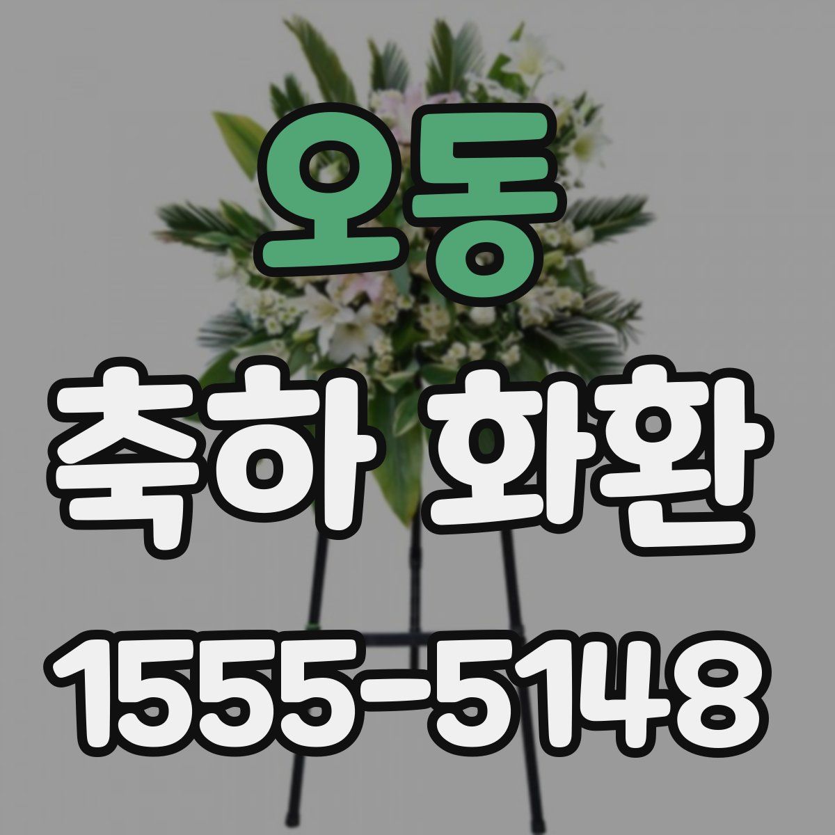 오동 축하 화환