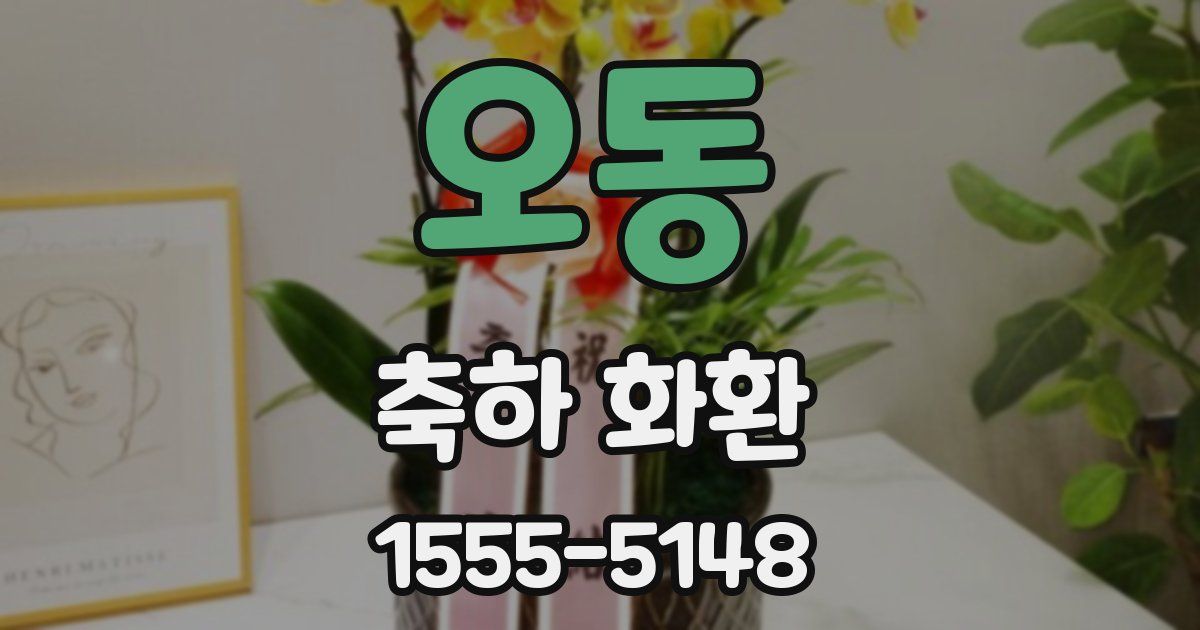 오동 축하 화환