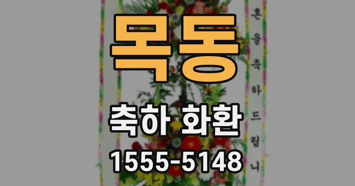 목동 축하 화환
