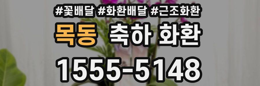 목동 축하 화환