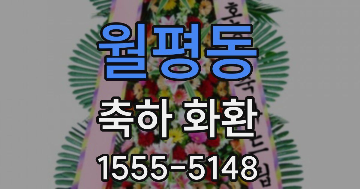 월평동 축하 화환