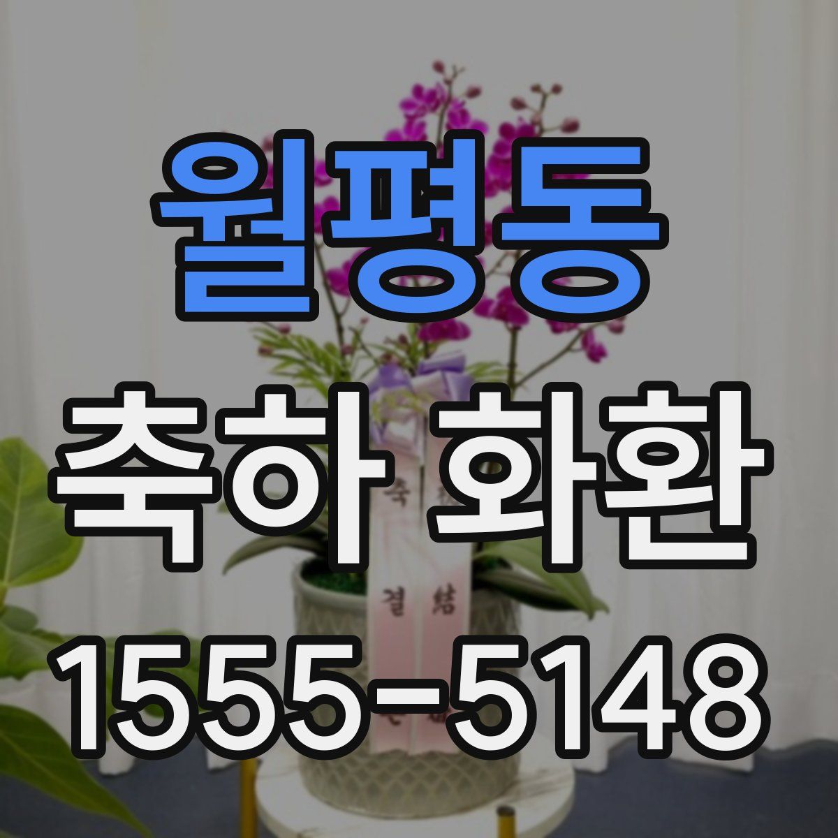 월평동 축하 화환