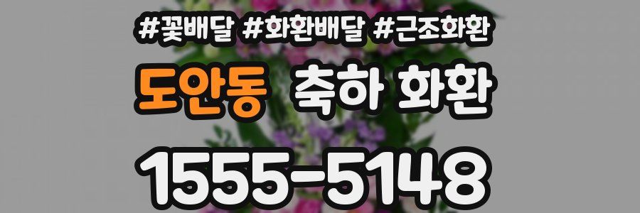 도안동 축하 화환