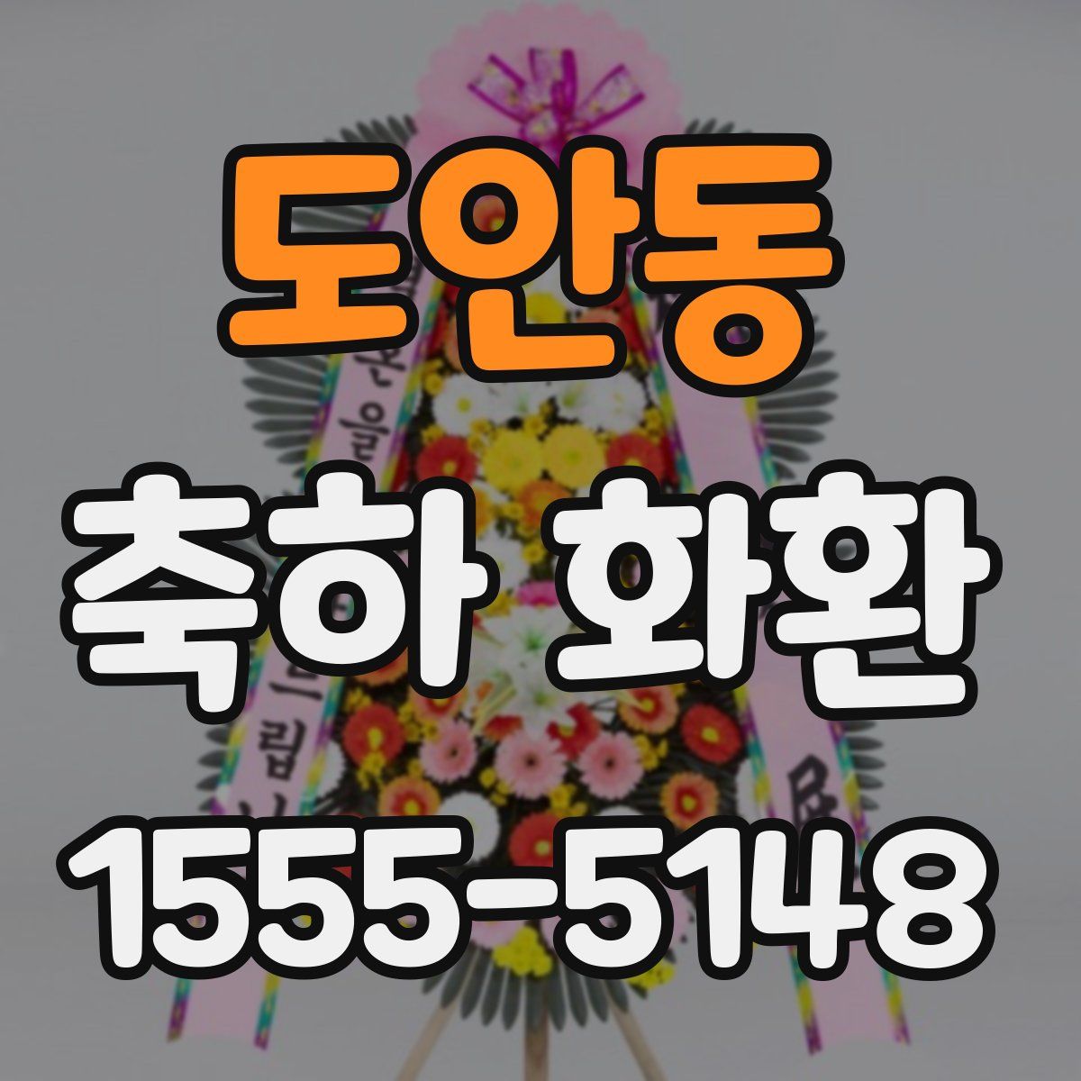 도안동 축하 화환