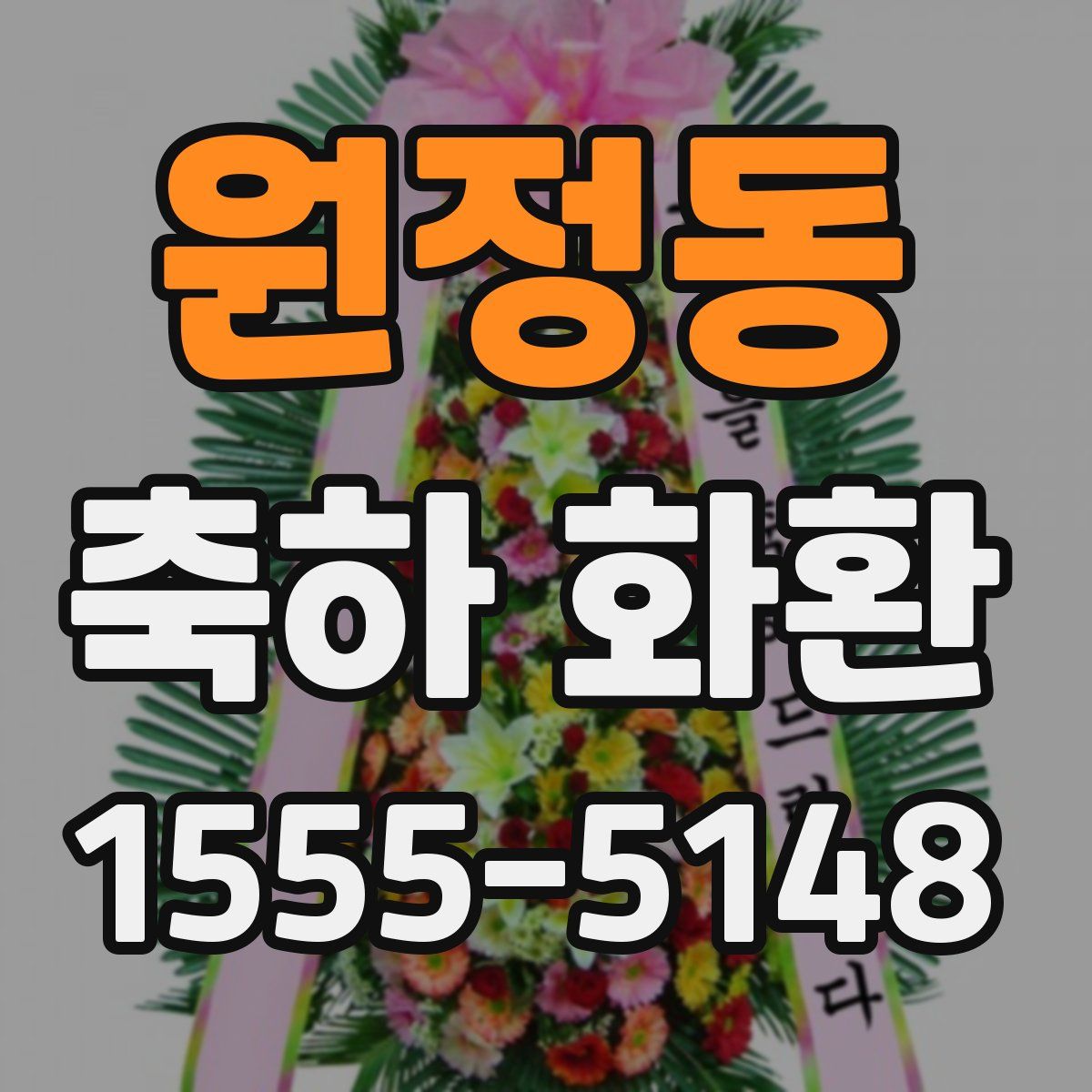 원정동 축하 화환