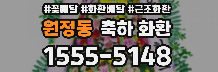 원정동 축하 화환