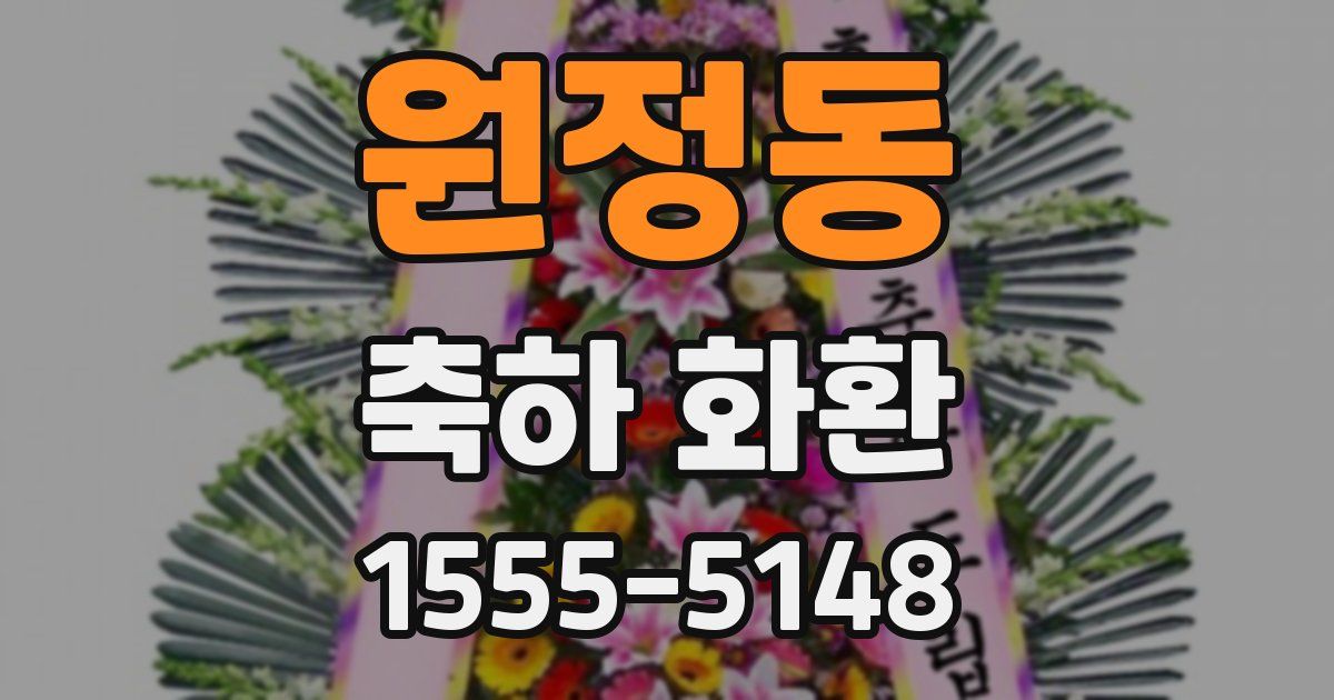 원정동 축하 화환