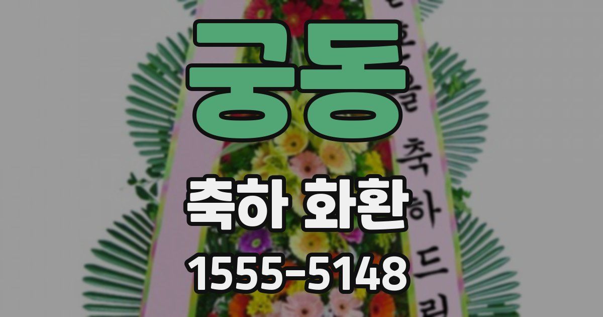 궁동 축하 화환