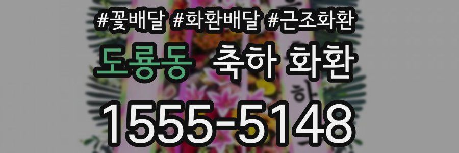 도룡동 축하 화환