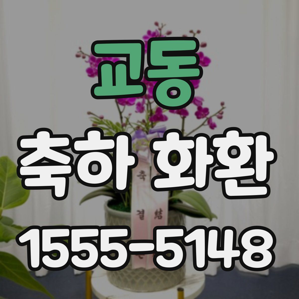 교동 축하 화환