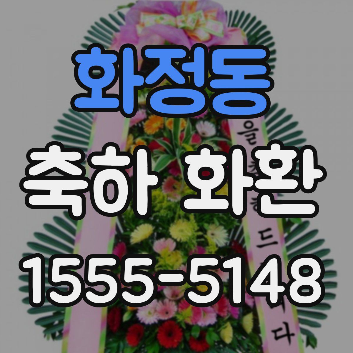 화정동 축하 화환