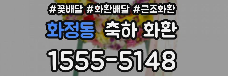 화정동 축하 화환