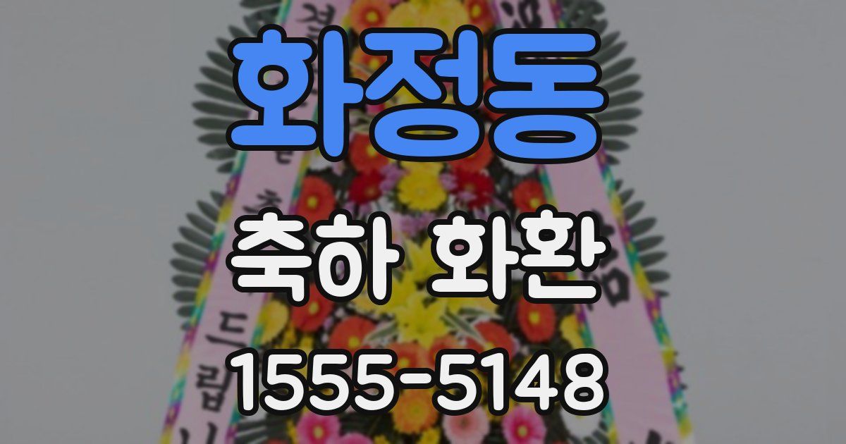 화정동 축하 화환