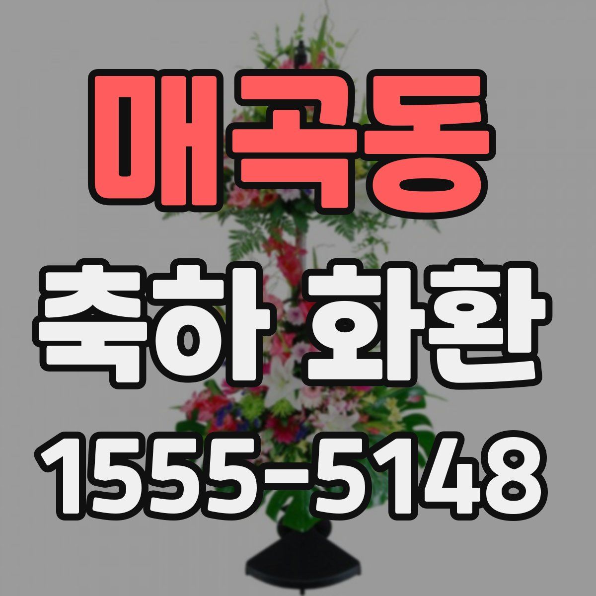 매곡동 축하 화환