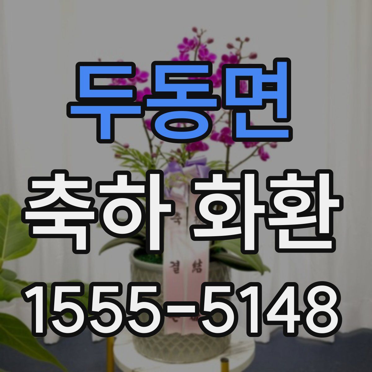 두동면 축하 화환