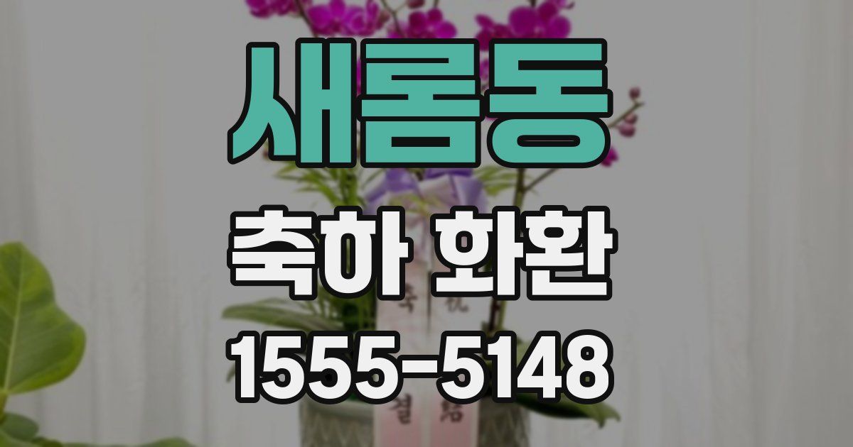 새롬동 축하 화환