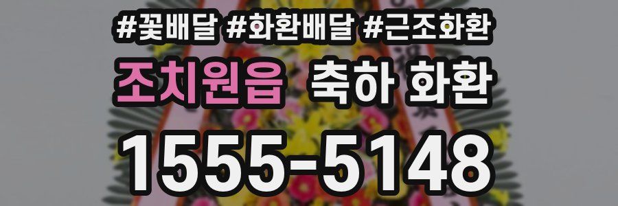조치원읍 축하 화환
