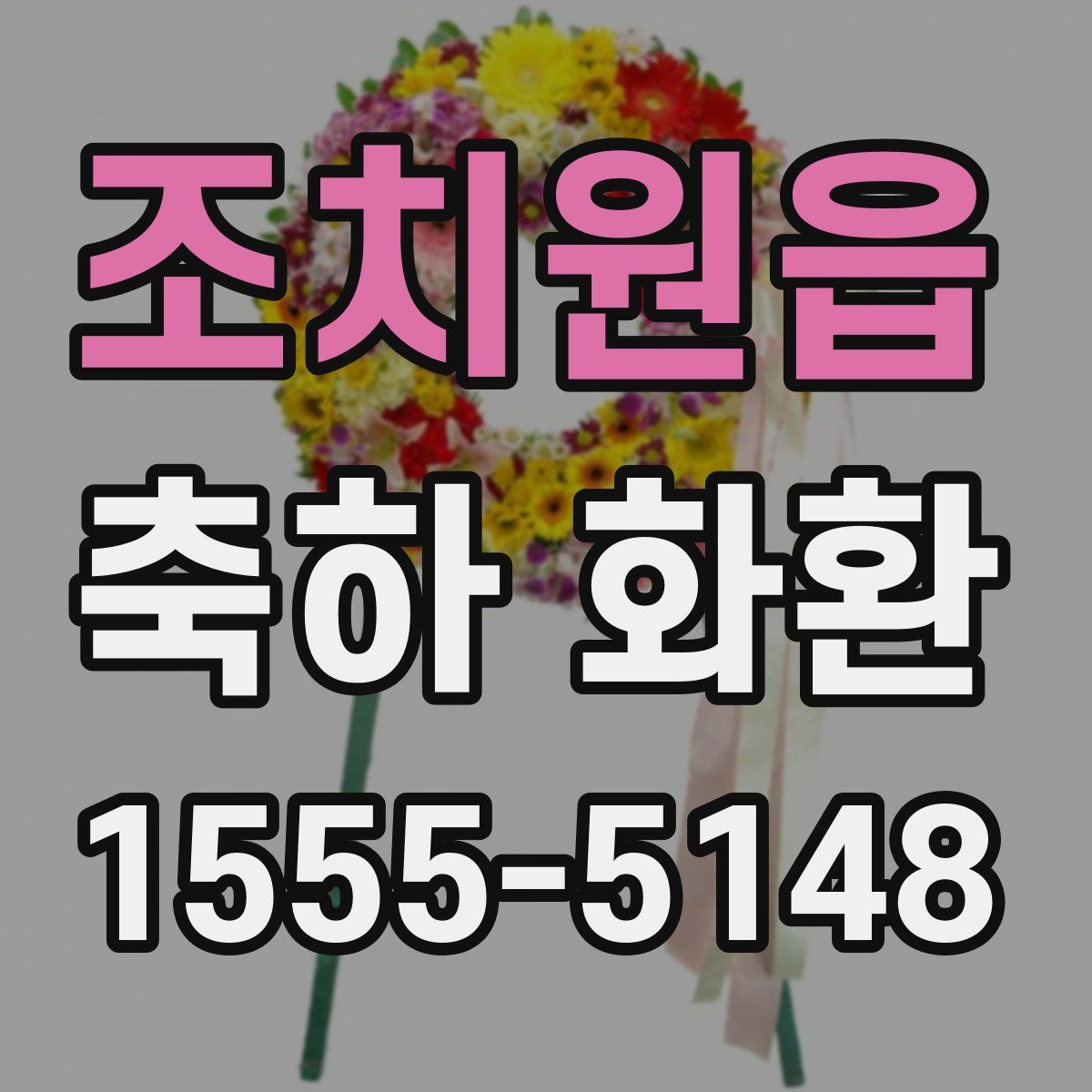 조치원읍 축하 화환