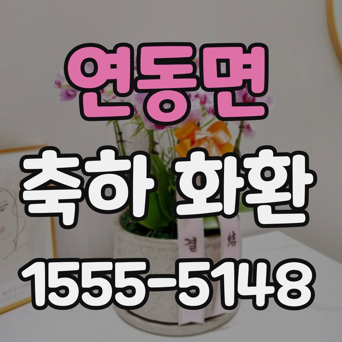 연동면 축하 화환