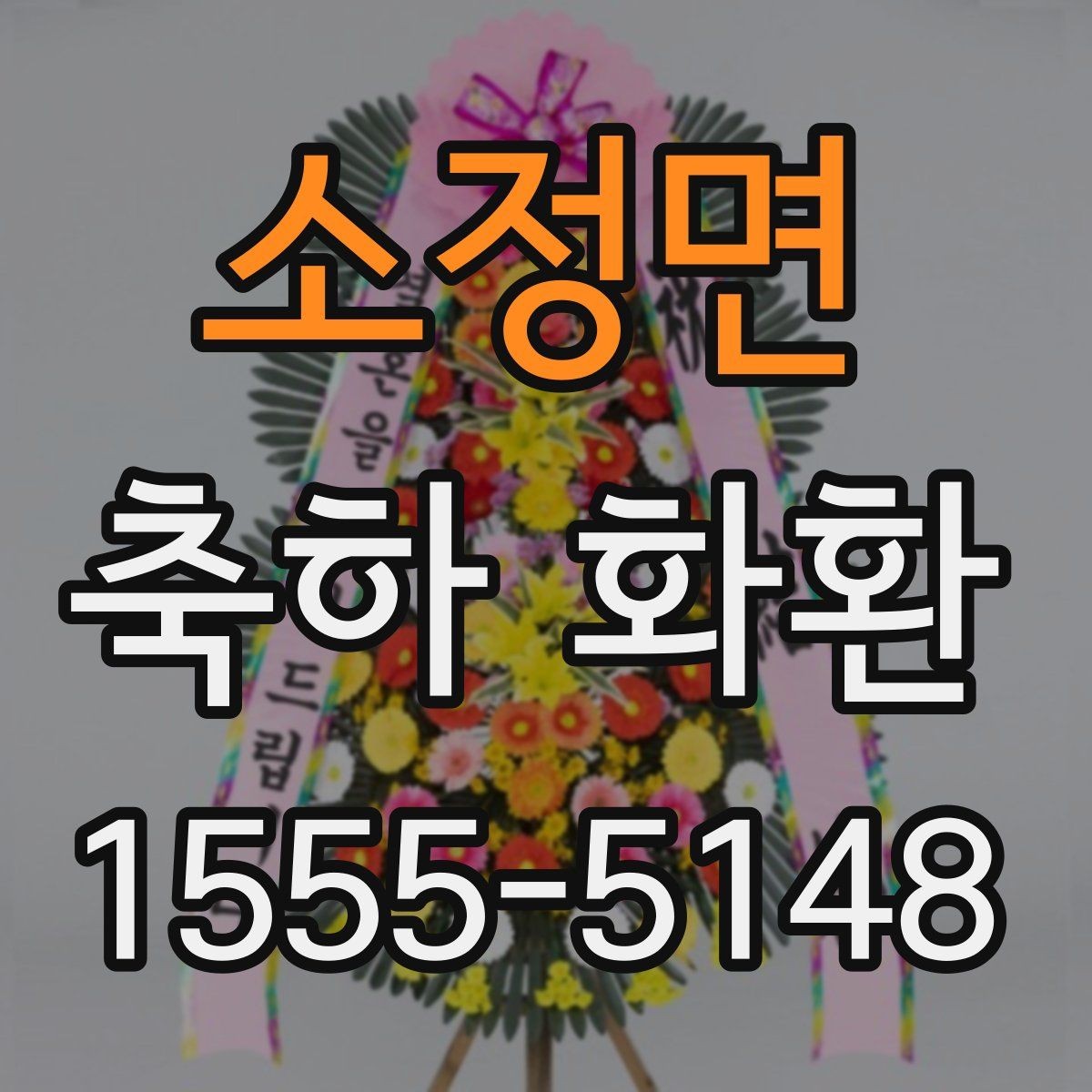 소정면 축하 화환 비교 포인트를 한눈에 정리
