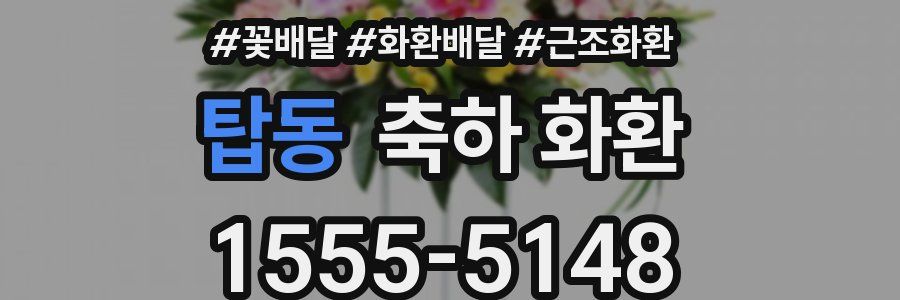 탑동 축하 화환