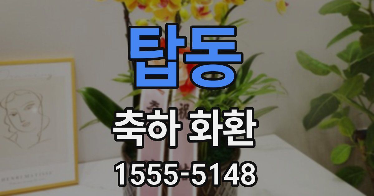 탑동 축하 화환