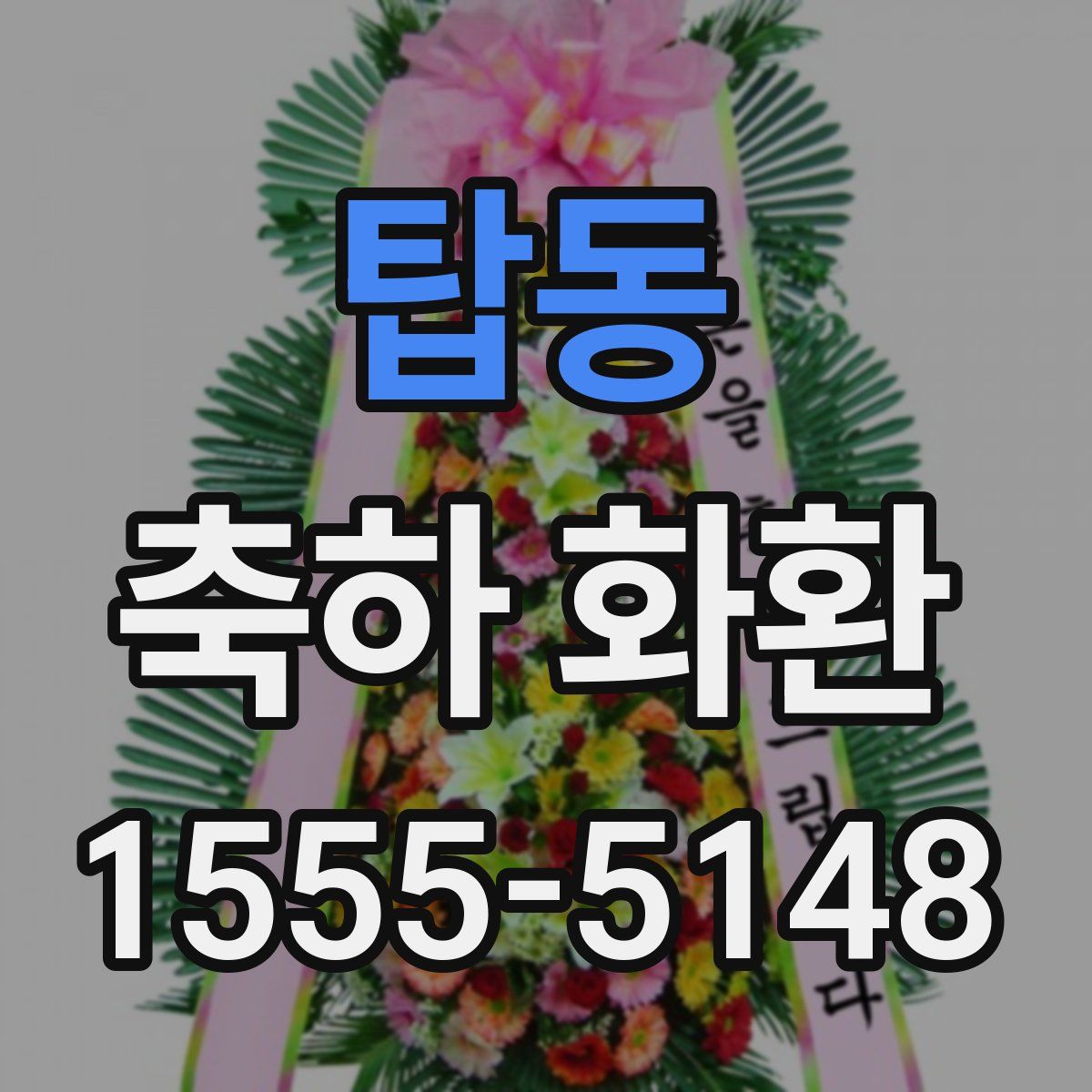 탑동 축하 화환