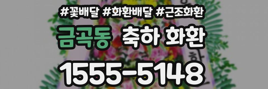 금곡동 축하 화환