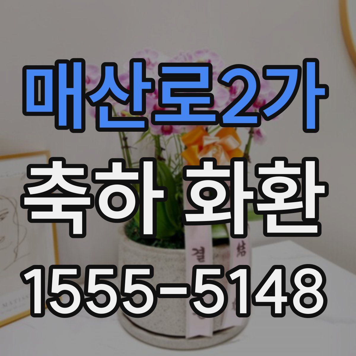 매산로2가 축하 화환