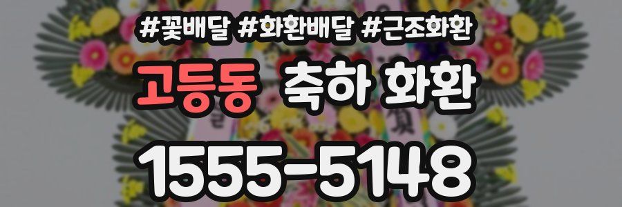 고등동 축하 화환
