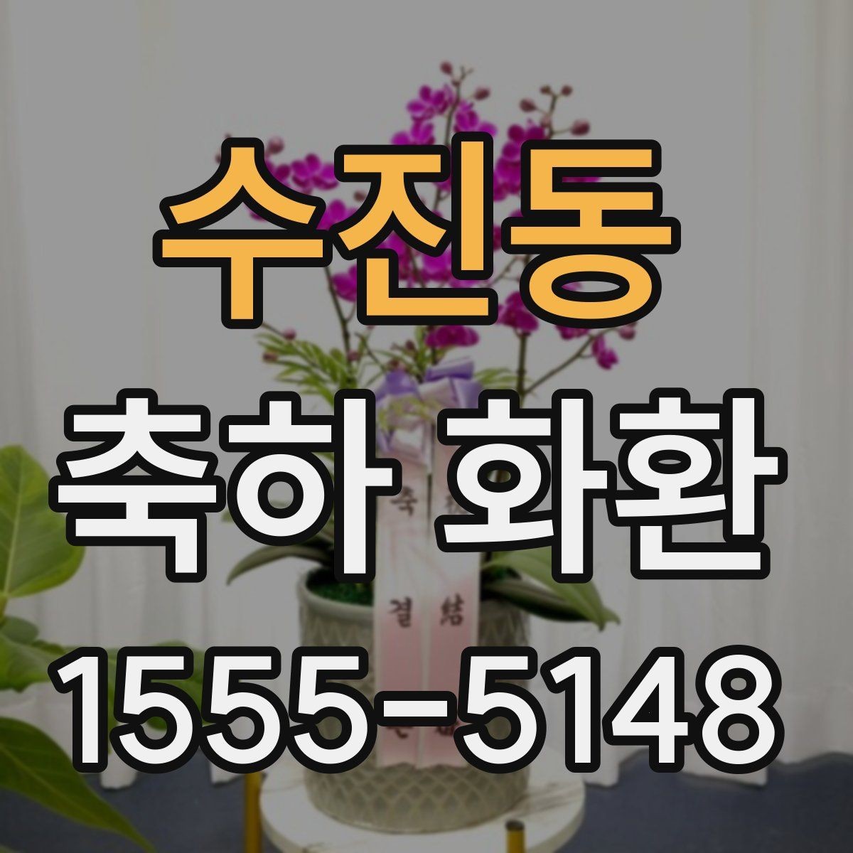 수진동 축하 화환 행사장 입구에 어울리는 크기