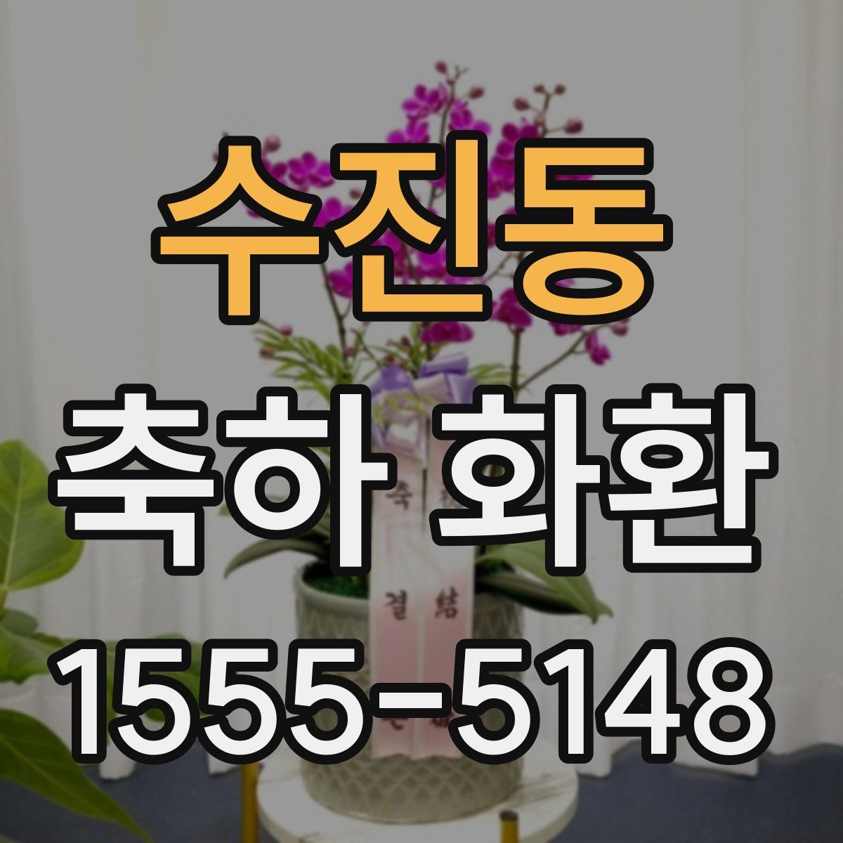 수진동 축하 화환
