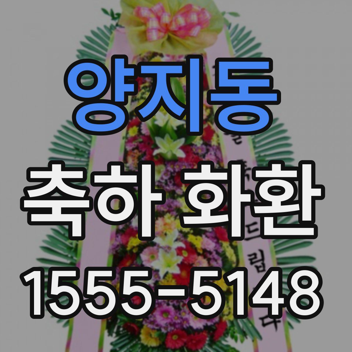 양지동 축하 화환
