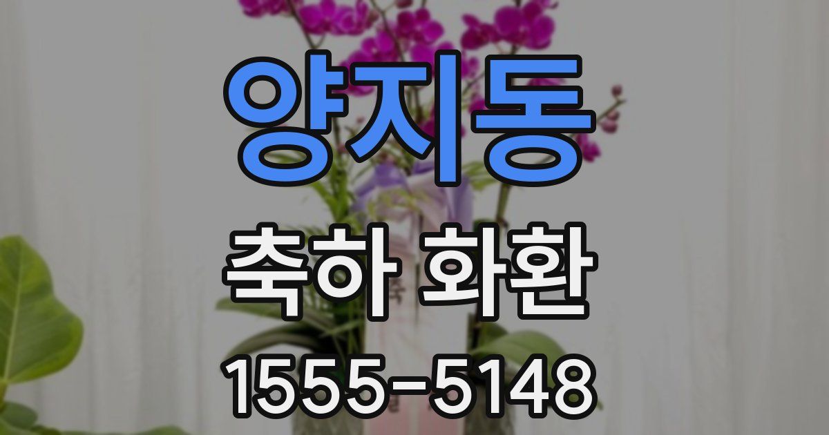 양지동 축하 화환