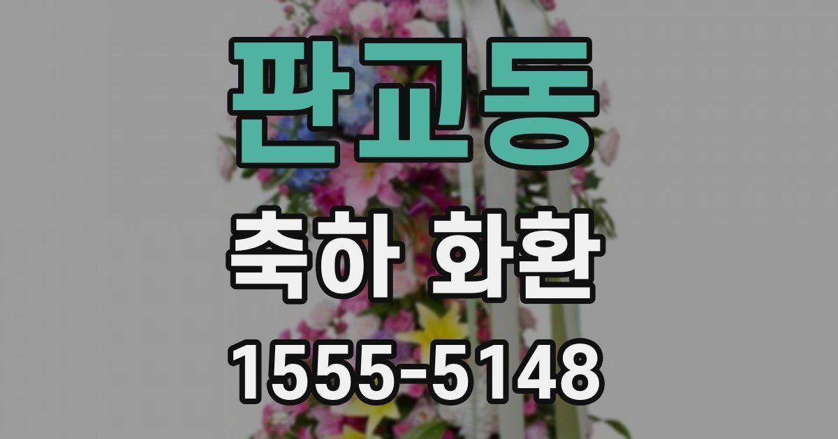 판교동 축하 화환