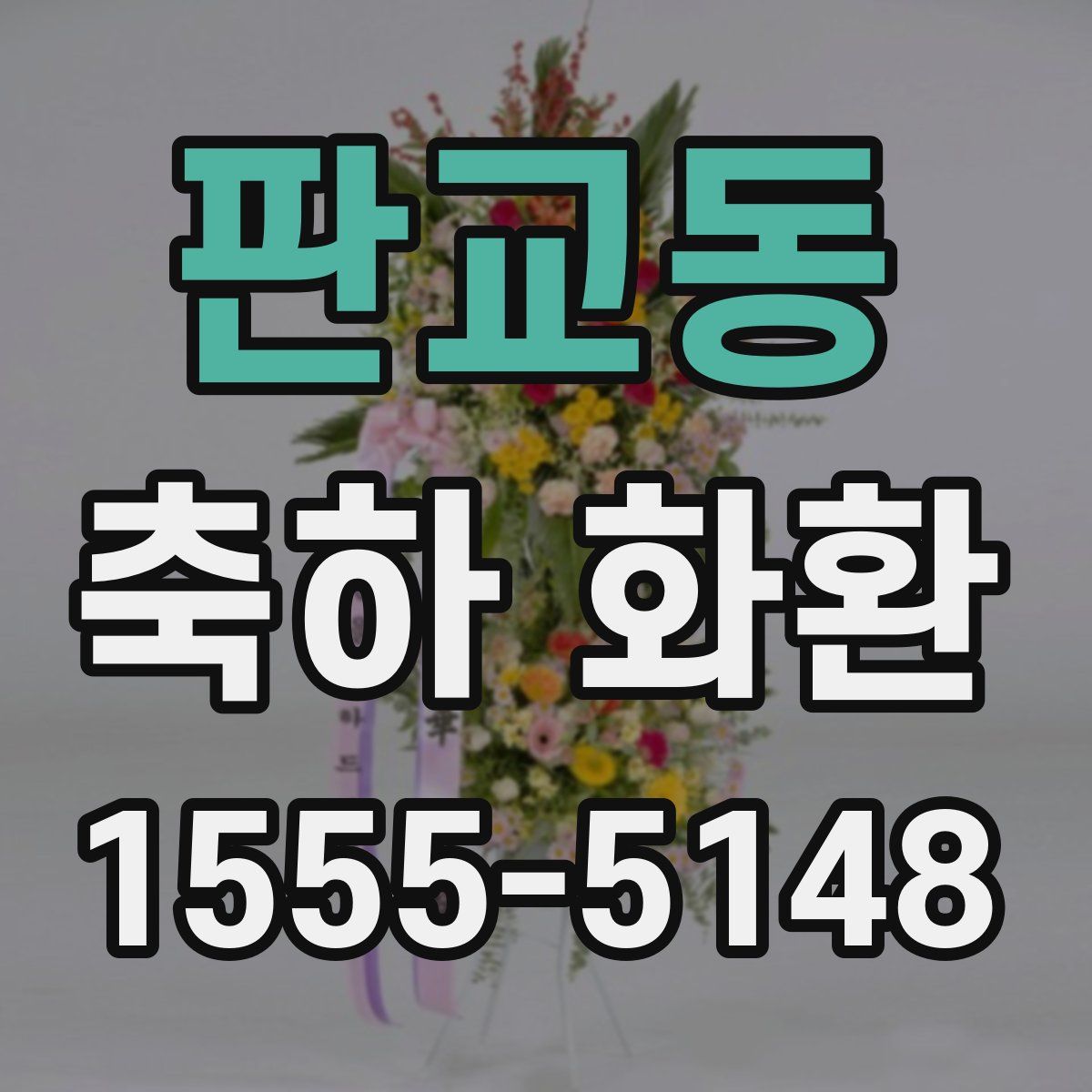 판교동 축하 화환