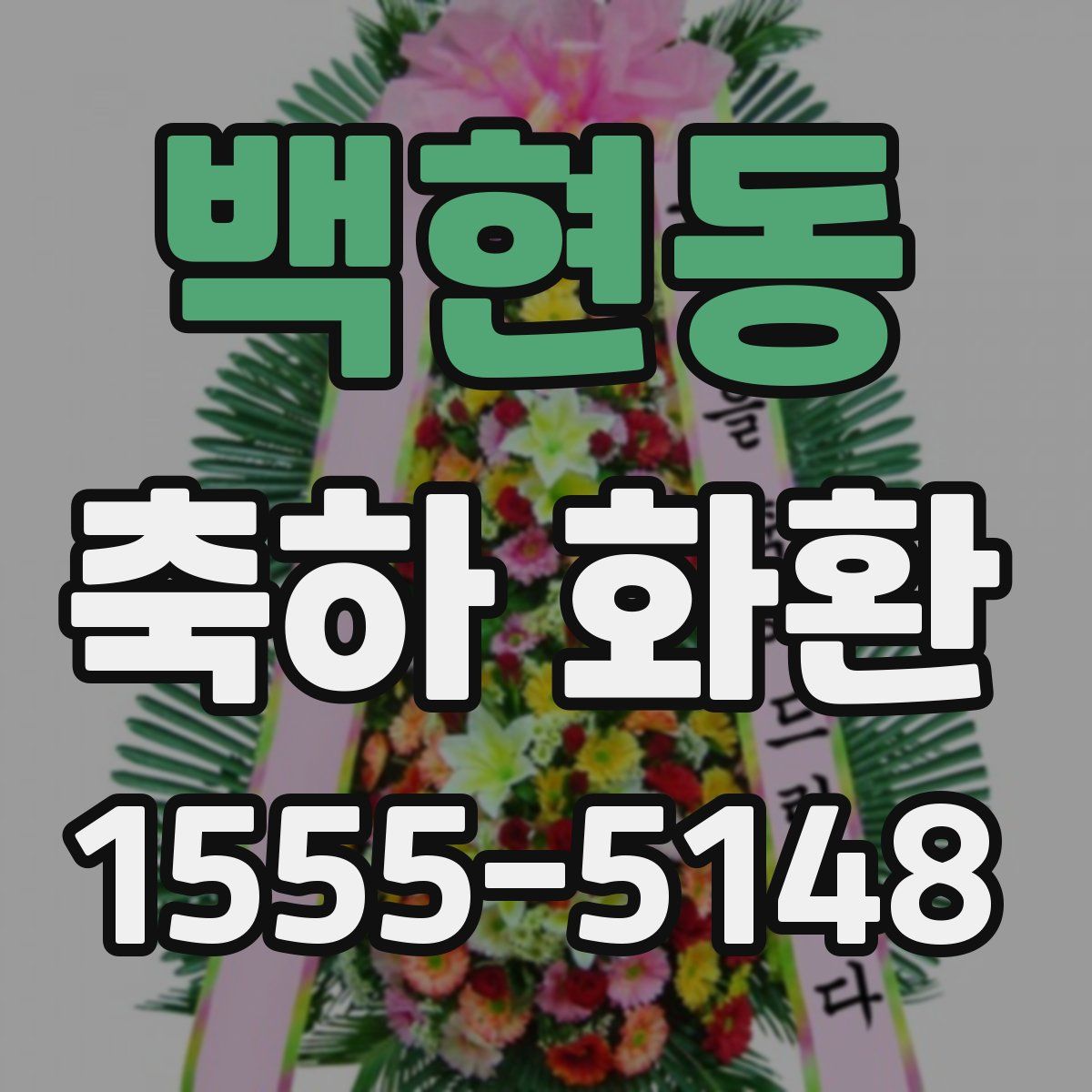 백현동 축하 화환