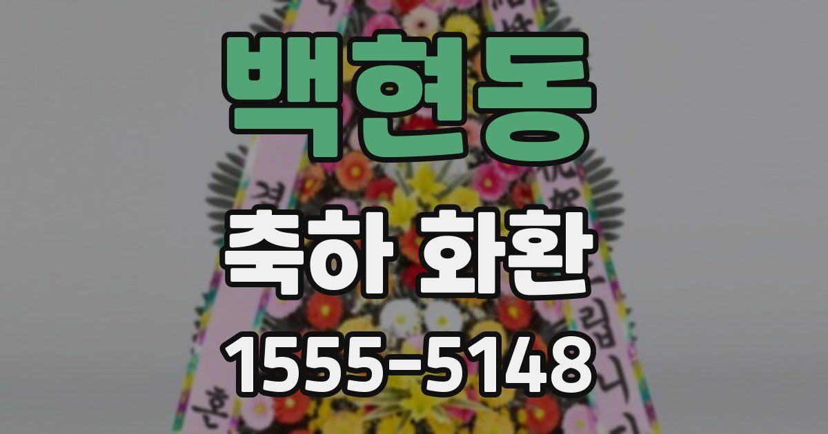 백현동 축하 화환