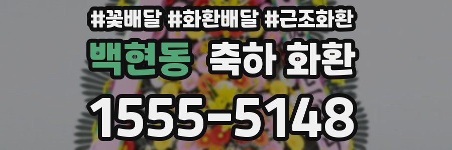 백현동 축하 화환