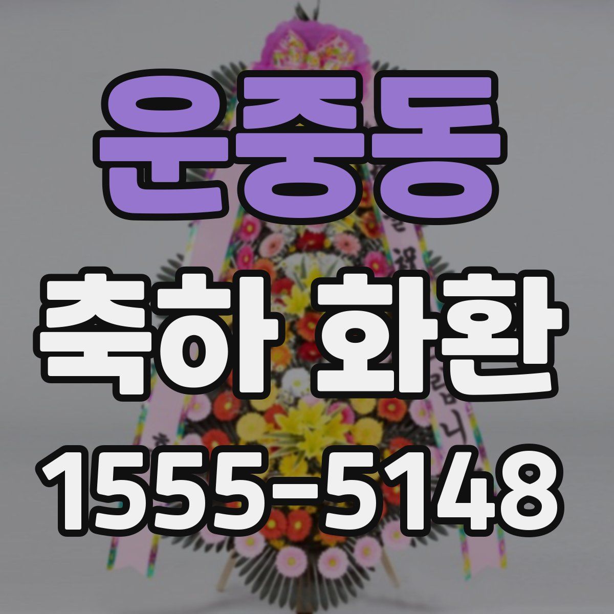 운중동 축하 화환
