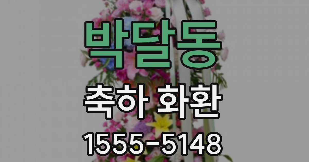 박달동 축하 화환