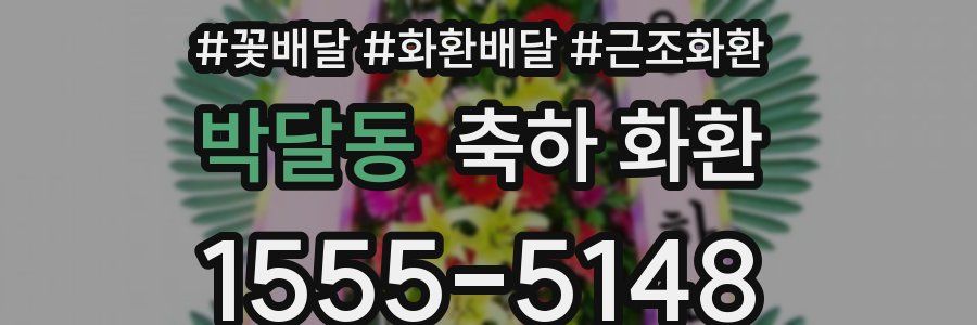 박달동 축하 화환