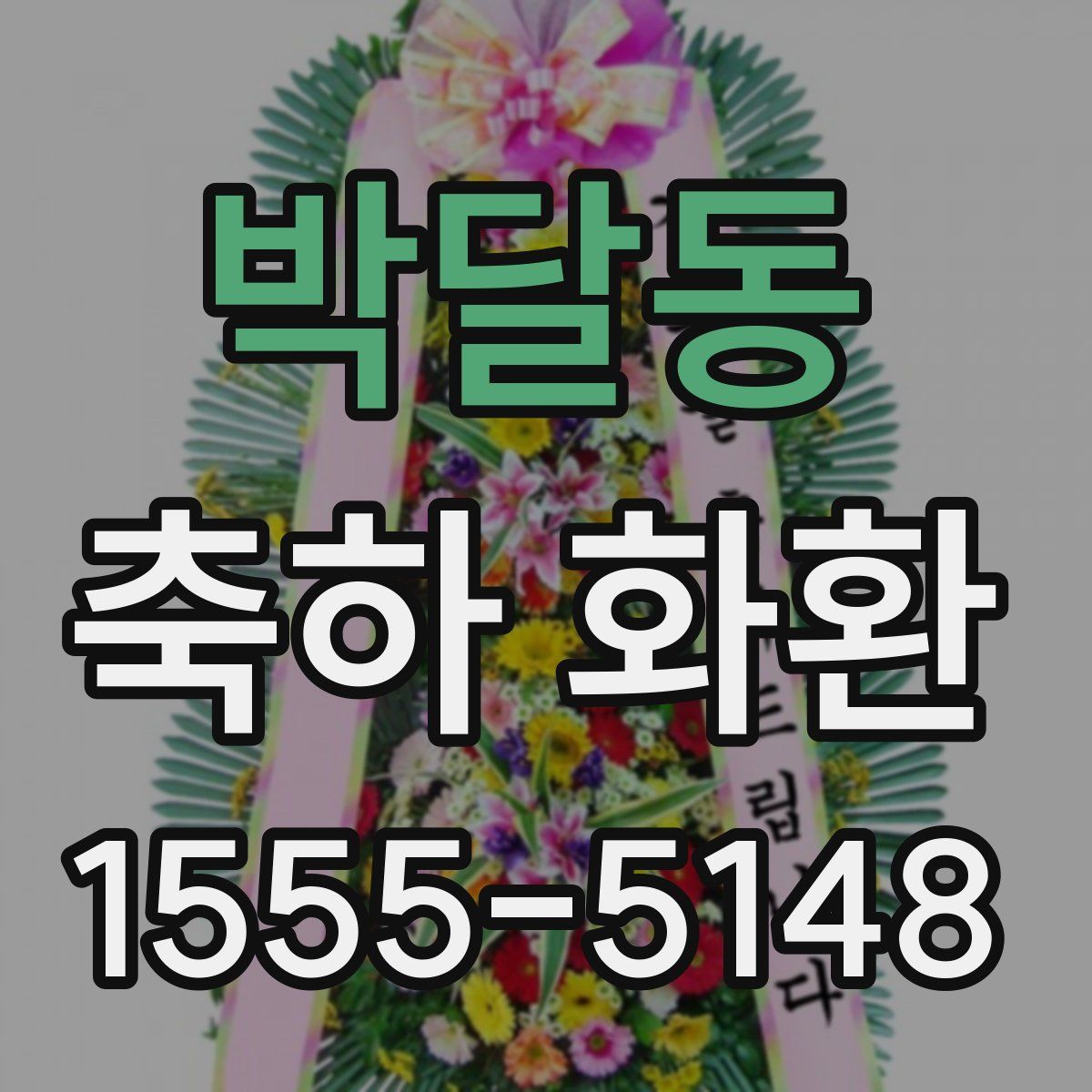 박달동 축하 화환