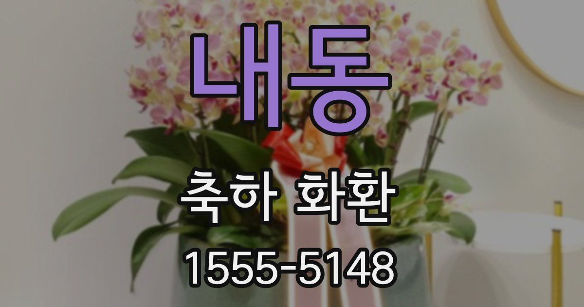 내동 축하 화환