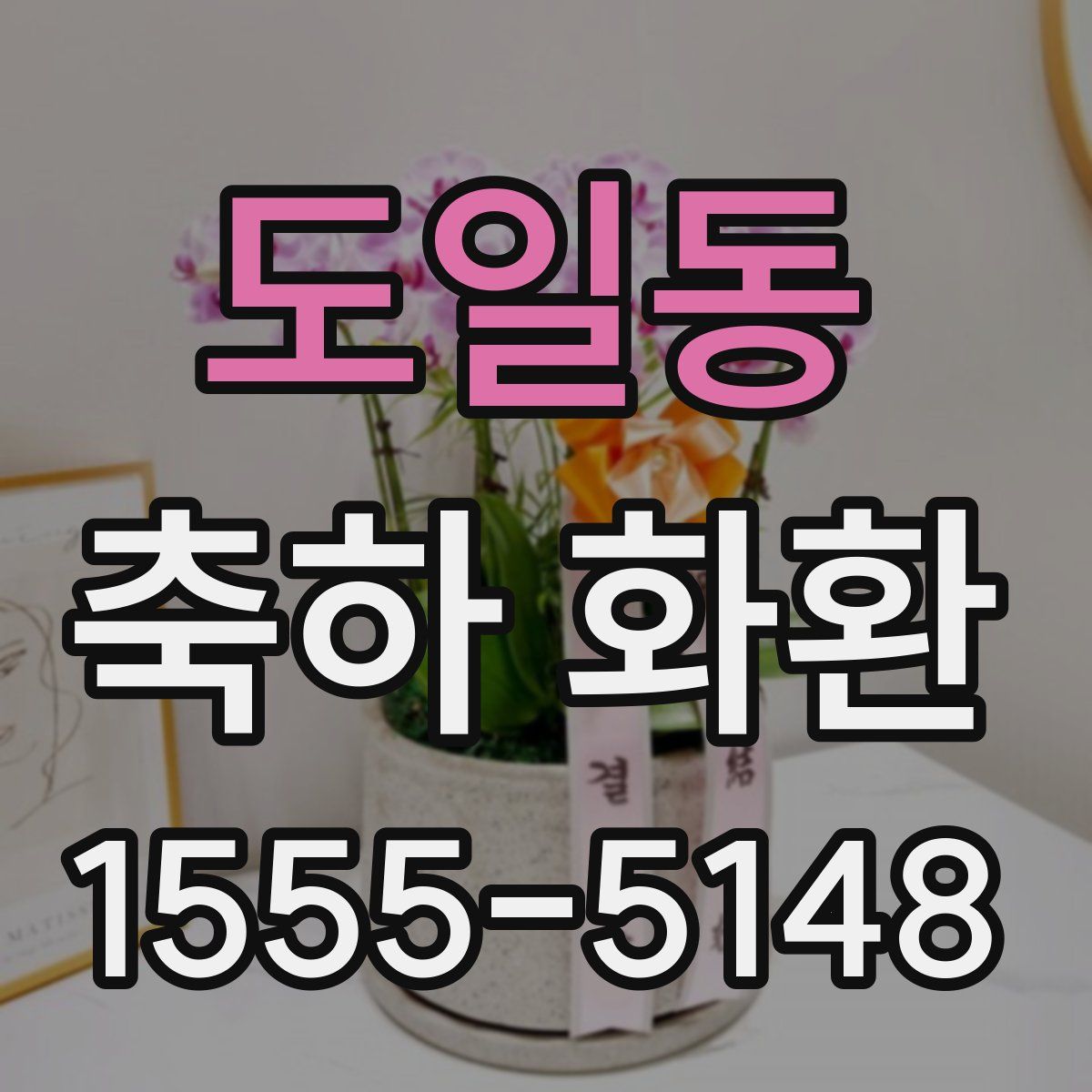 도일동 축하 화환
