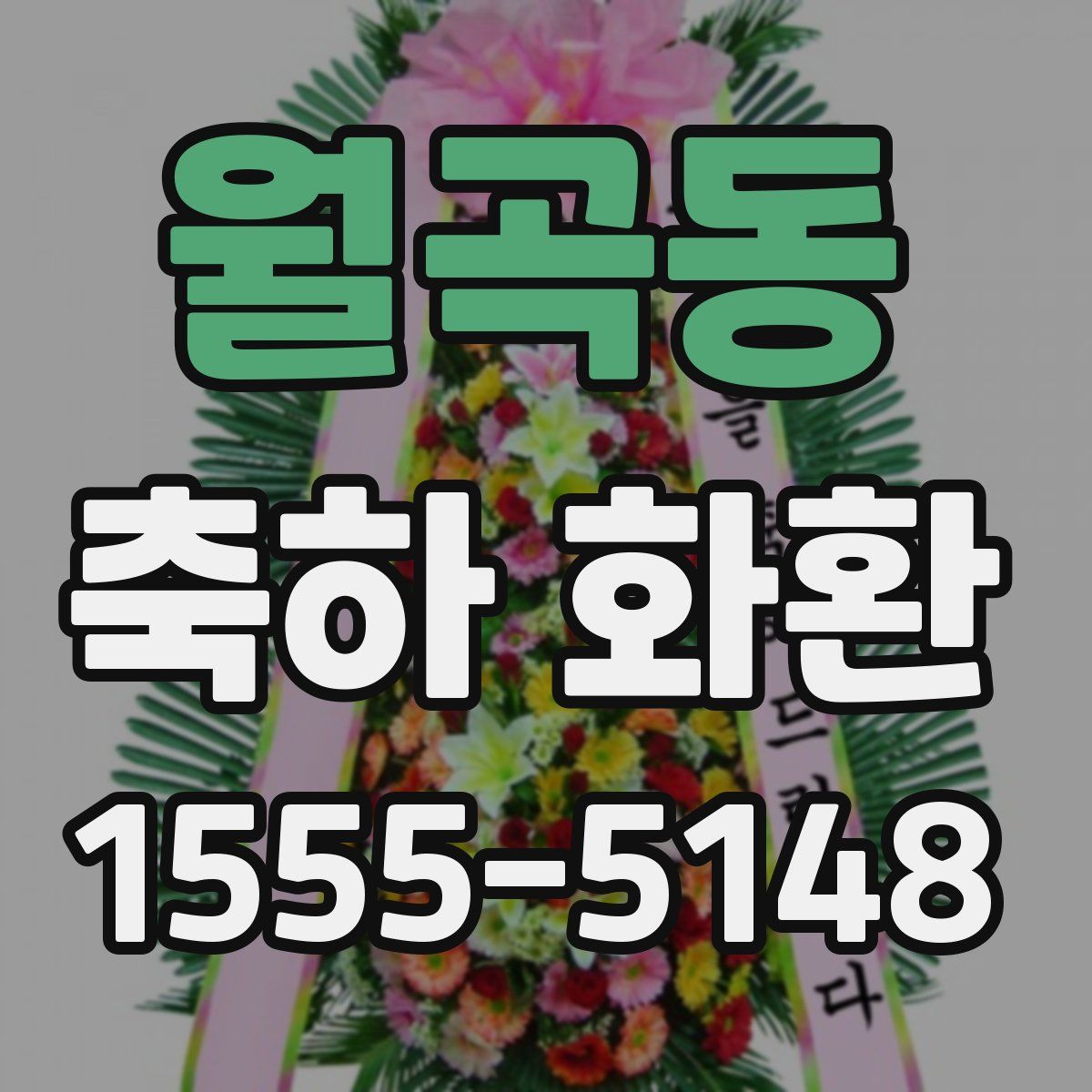 월곡동 축하 화환