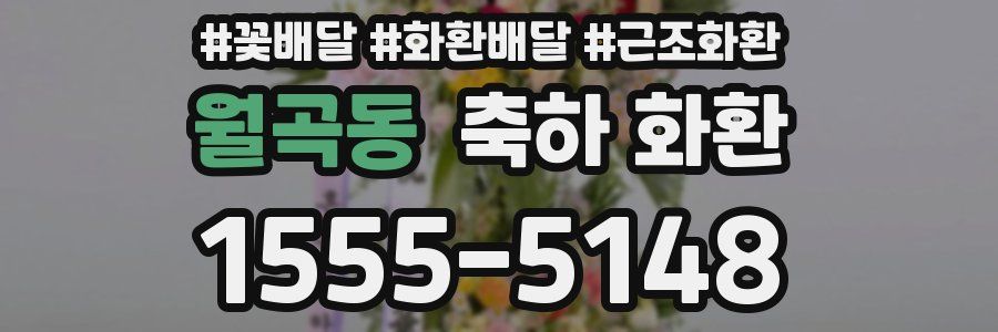 월곡동 축하 화환