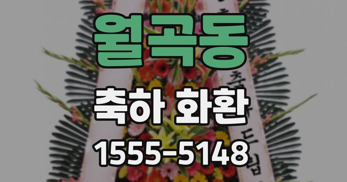 월곡동 축하 화환