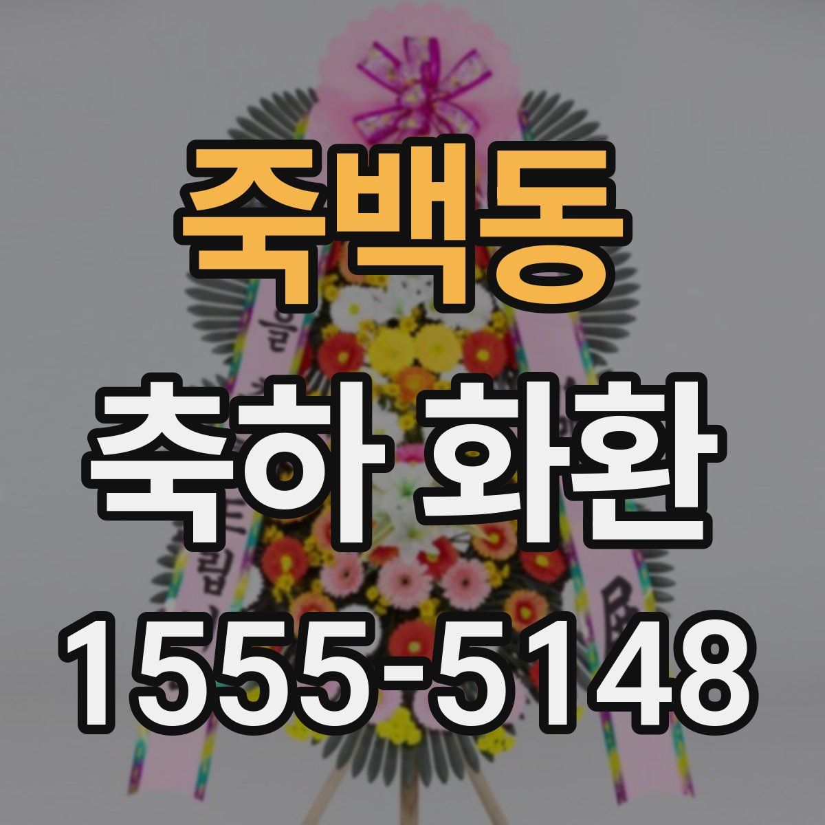 죽백동 축하 화환